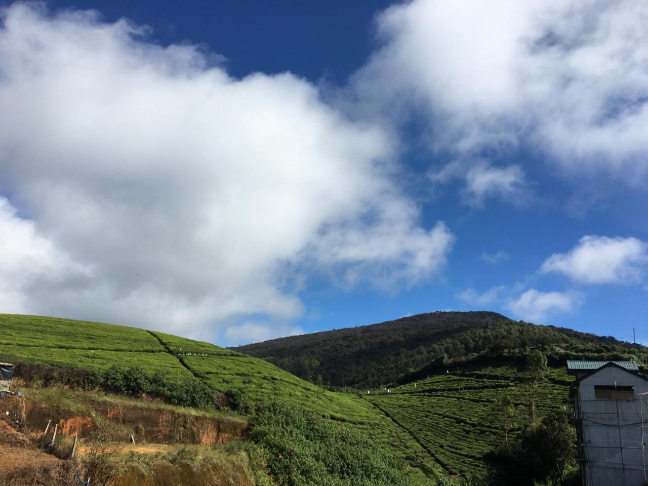 Hotel Ranvil Nuwara Eliya Zewnętrze zdjęcie